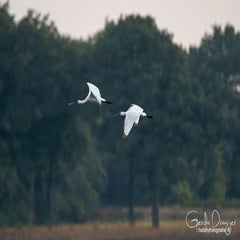 dsc_37972.jpg