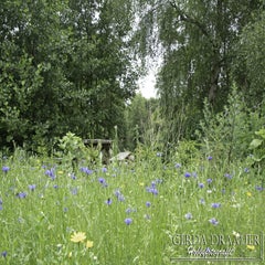 dsc_09822.jpg
