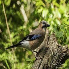 dsc_12882.jpg