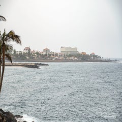dsc_43862.jpg