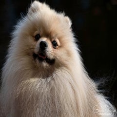 dsc_96783.jpg