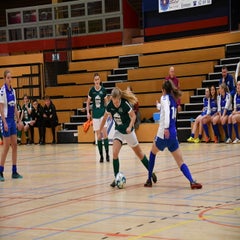dsc_0517jpg.jpg