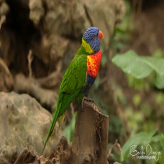 dsc_17843.jpg