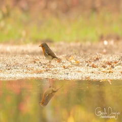 dsc_85983.jpg