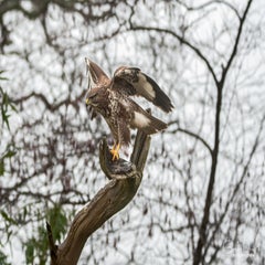 dsc_24683.jpg