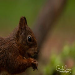 dsc_83663.jpg