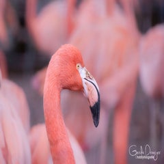 dsc_79743.jpg