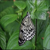 DSCN3172.jpg