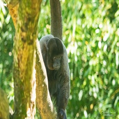 dsc_07063.jpg
