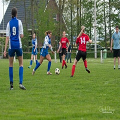 dsc_83492.jpg