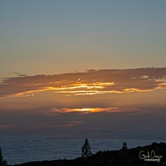 dsc_45433.jpg