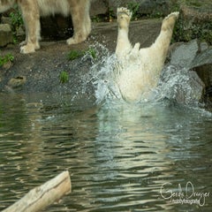 dsc_81632.jpg