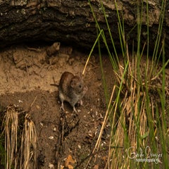 dsc_61502.jpg