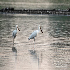 dsc_38162.jpg