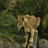 DSC_35802.jpg