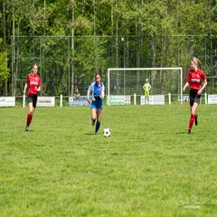 dsc_82412-1.jpg