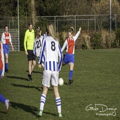 dsc_87812.jpg