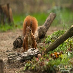 dsc_88153.jpg