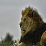 DSC_35942.jpg