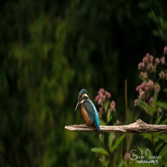 dsc_31202.jpg