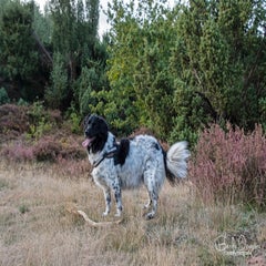dsc_68933.jpg