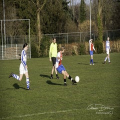 dsc_88132.jpg