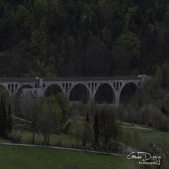 dsc_06312.jpg