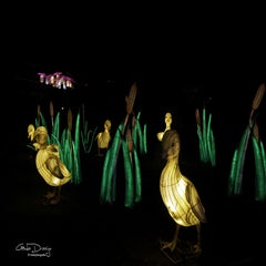 dsc_91372.jpg