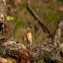 dsc_59732.jpg