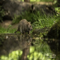 dsc_11692.jpg