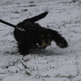DSC_54282.jpg