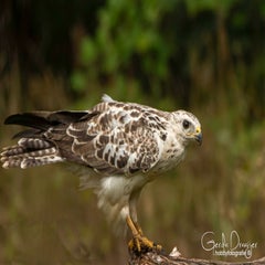 dsc_31762.jpg