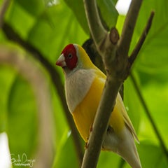 dsc_18483.jpg