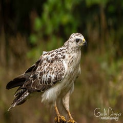 dsc_31752.jpg