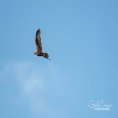 dsc_27752.jpg