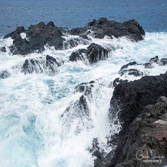 dsc_52262.jpg
