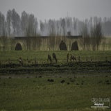 DSC_69122.jpg