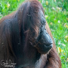 dsc_80013.jpg