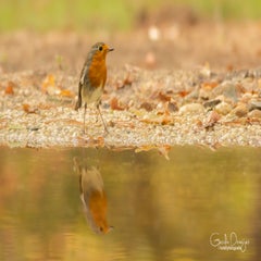 dsc_85963.jpg