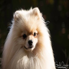 dsc_97133.jpg