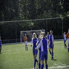 dsc_24652.jpg
