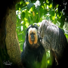 dsc_07373.jpg