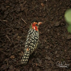 dsc_15143.jpg