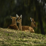 DSC_35612.jpg