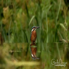 dsc_32492.jpg