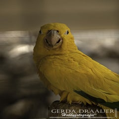 dsc_50012.jpg