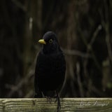 DSC_53692.jpg