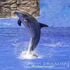 dsc_51222.jpg