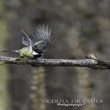DSC_61652.jpg