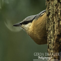 dsc_63302.jpg